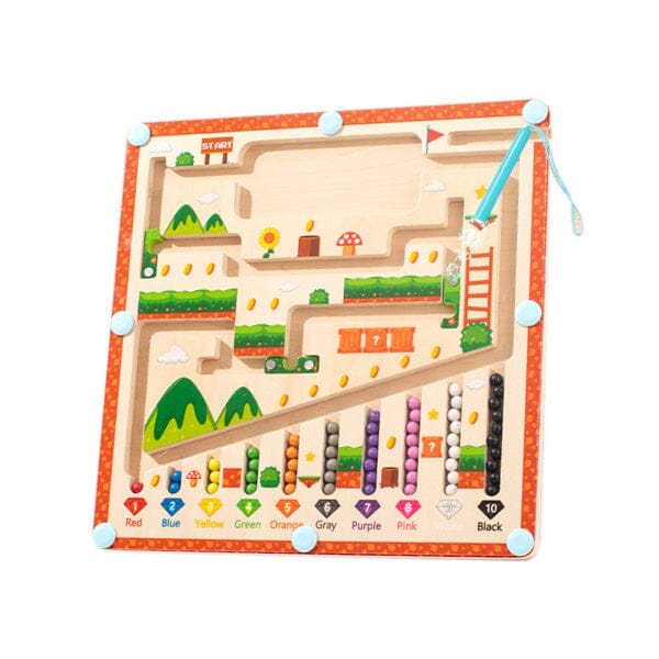 Sank Magnetic Maze