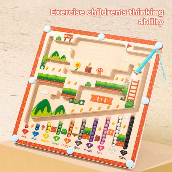 Sank Magnetic Maze