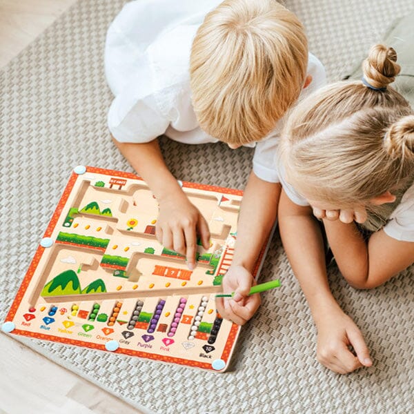 Sank Magnetic Maze