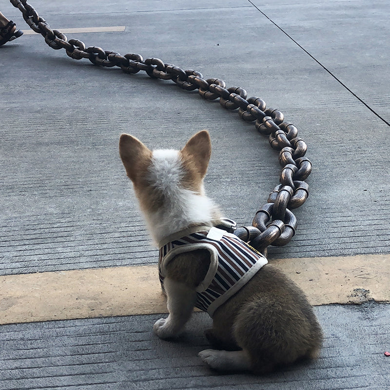 Funny Dog Leash
