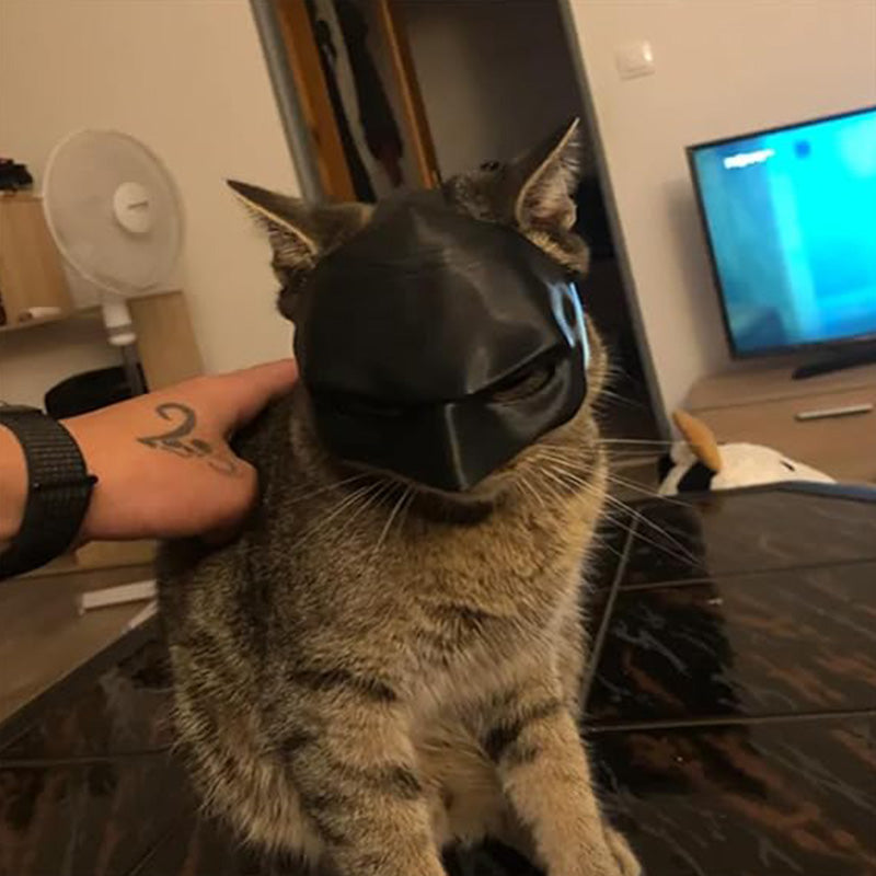 Bat Cat Avenger Mask