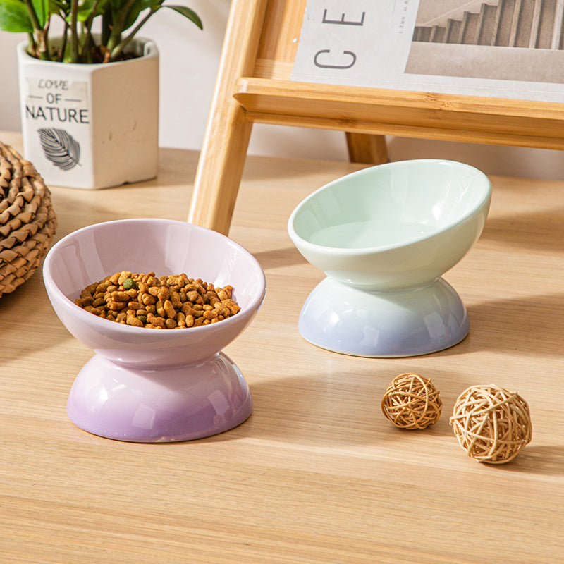Ceramic Elevated Pet Food Bowls