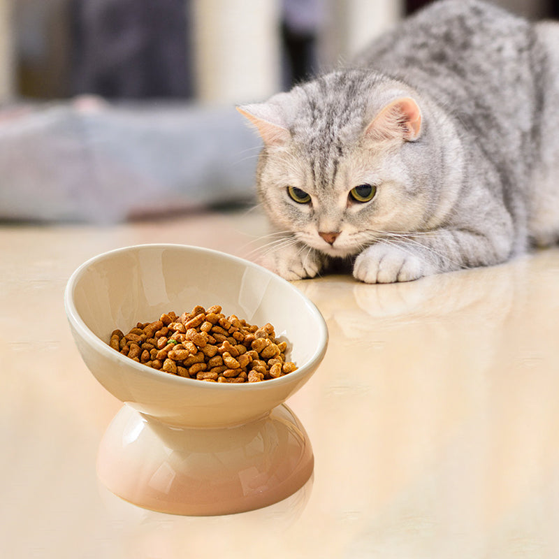Ceramic Elevated Pet Food Bowls