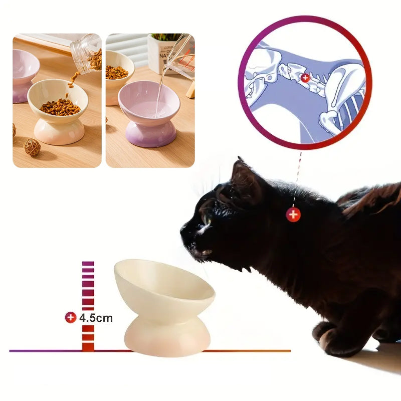 Ceramic Elevated Pet Food Bowls