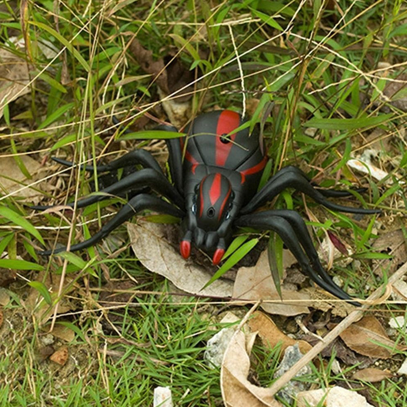 Electric Bug Toy With Remote Control