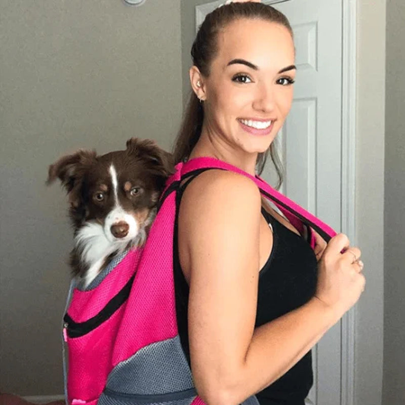Backpack For Dogs / Cats