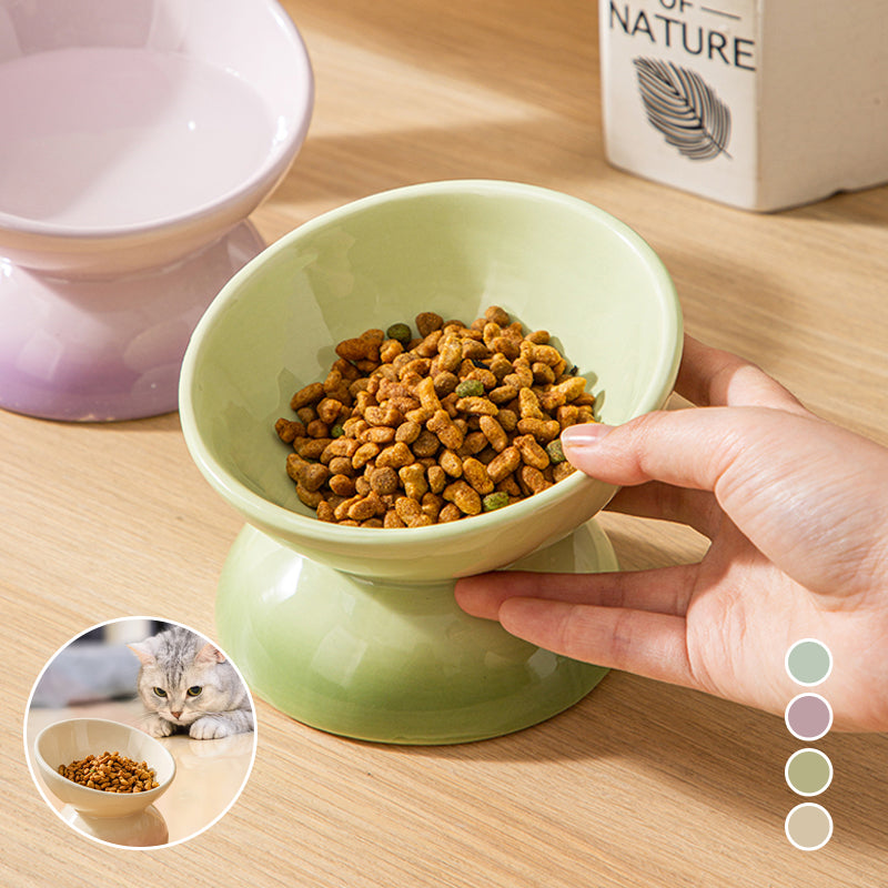Ceramic Elevated Pet Food Bowls