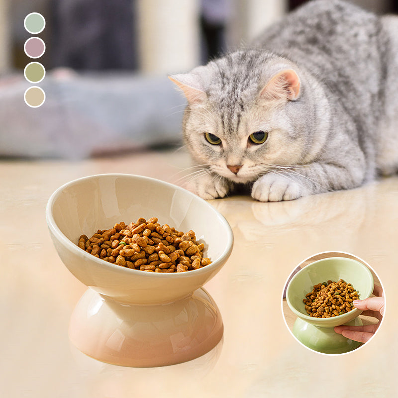 Ceramic Elevated Pet Food Bowls